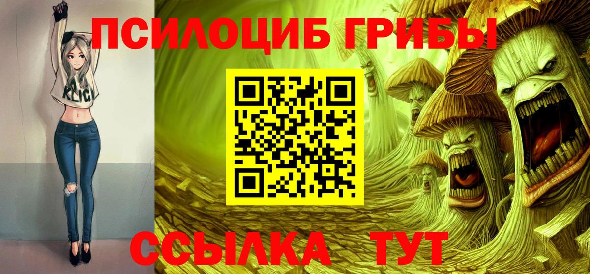 Шадринск  Псилоцибиновые грибы Cubensis  купить наркоту  Галлюциногенные грибы Magic Shrooms  Вход с VPN 