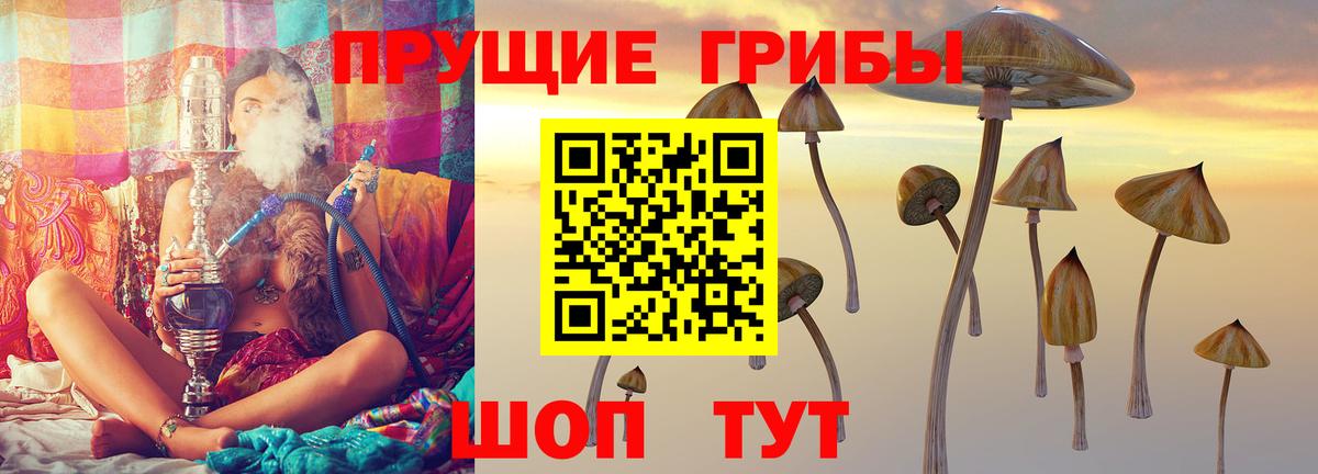 А ПВП Шадринск