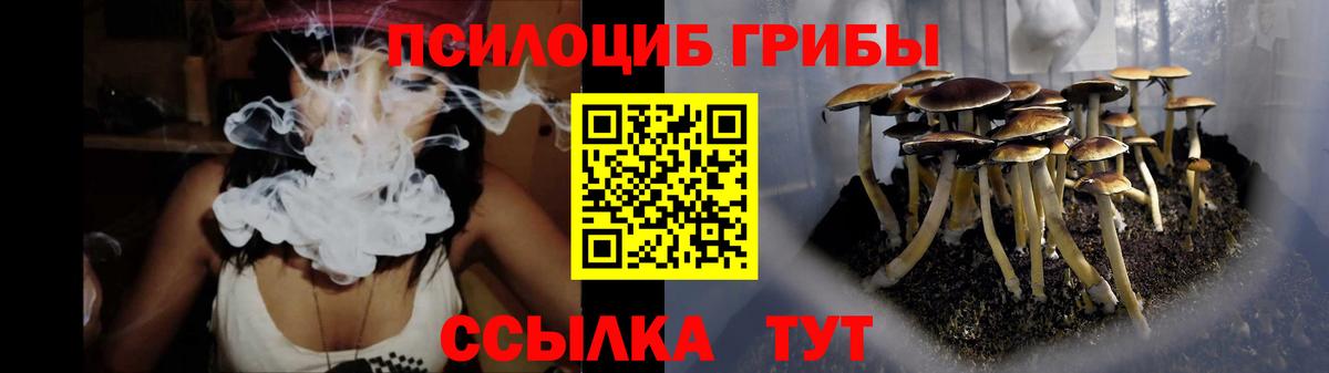 Галлюциногенные грибы мицелий Шадринск